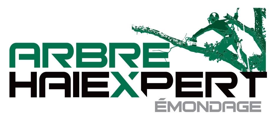 logo arbre haiexpert